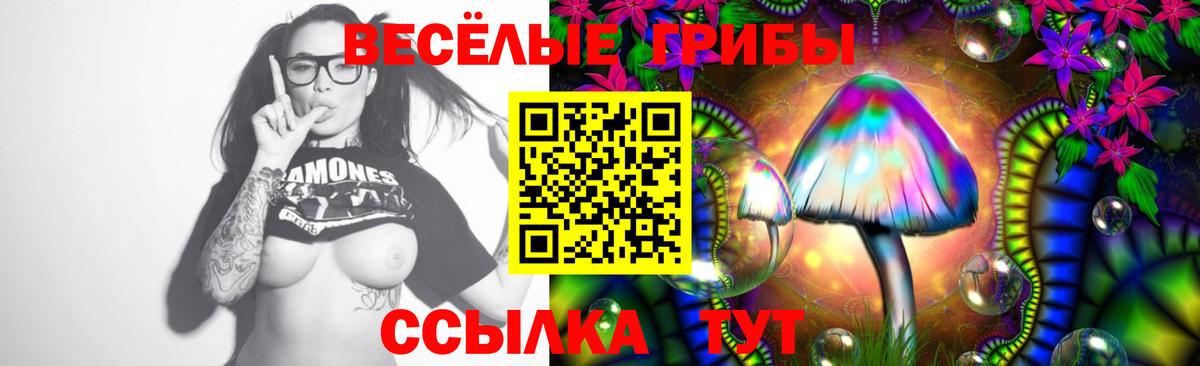 Галлюциногенные грибы GOLDEN TEACHER Ирбит